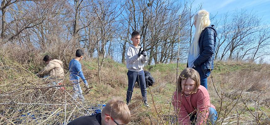 Schüler:innen pflegen Trockenrasen
