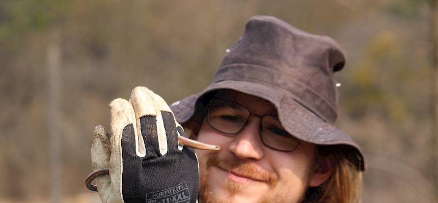 Freiwilliger hält Blindschleiche (Anguis fragilis)