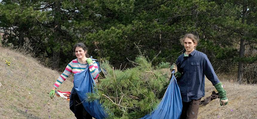 Helfer:innen tragen Plane
