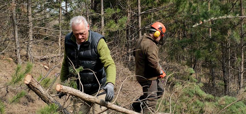 Freiwillige schneiden und tragen Äste