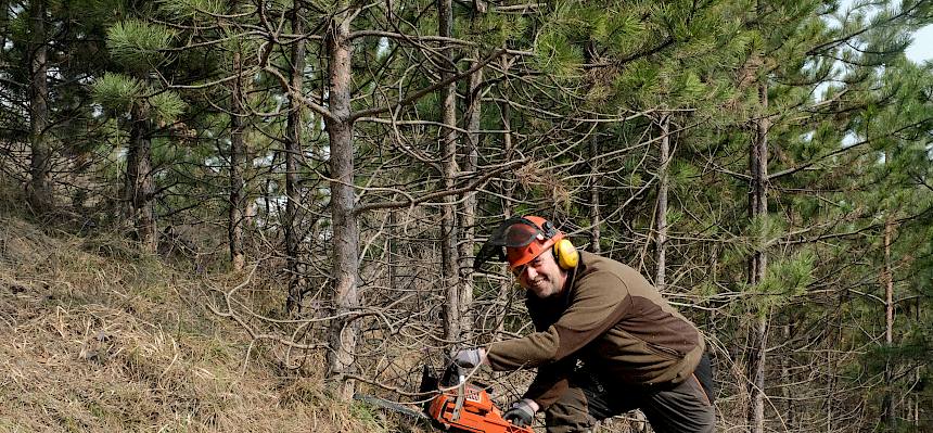 Bgm. Stefan Rabl mit Motorsäge