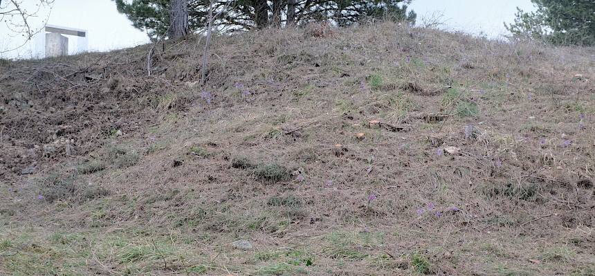 Freigemachte Fläche