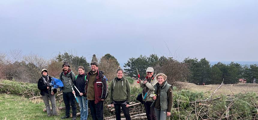 Freiwillige vor umgeschnittenen Föhren