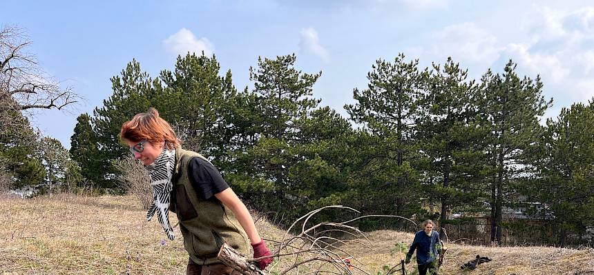 Volunteers ziehen Äste