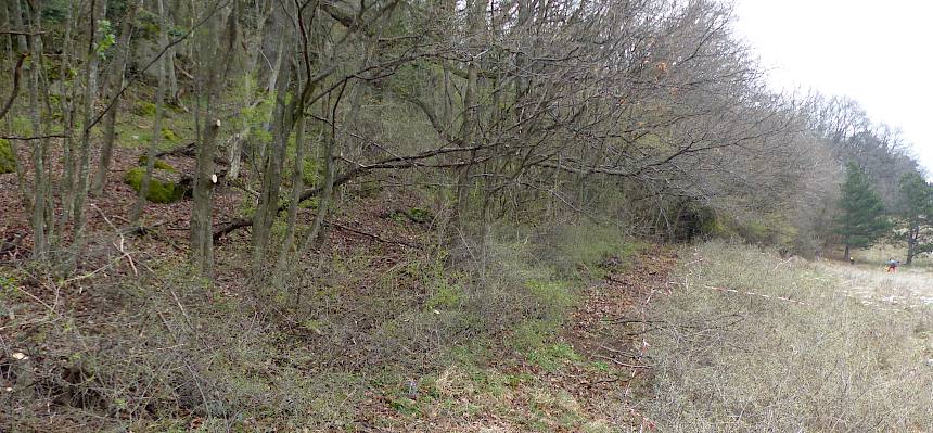 Fläche nach der Pflege