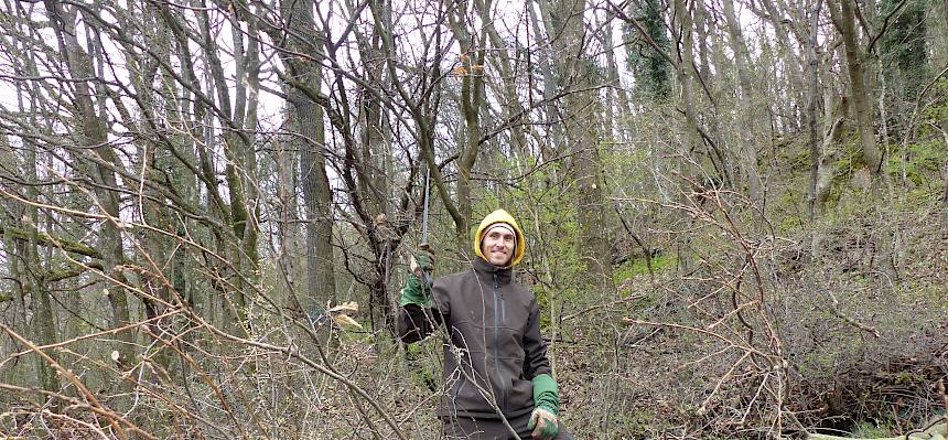 Freiwilliger mit Säge