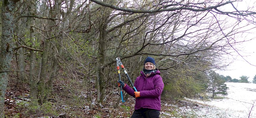 Freiwillige mit Astschere