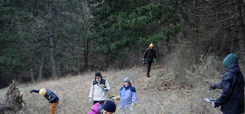 Freiwillige pflegen Trockenrasen