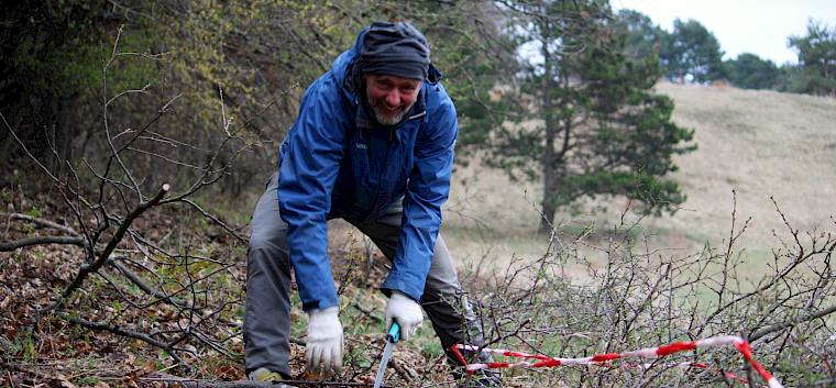 Trotz winterlicher Bedingungen und leichtem Schneefall in der Früh pflegten heute zahlreiche Freiwillige gemeinsam mit dem Team des LPV die wertvollen Flächen der Gießhübler Heide. © LPV/L. Strobl Freiwilliger mit Säge