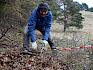 Trotz winterlicher Bedingungen und leichtem Schneefall in der Früh pflegten heute zahlreiche Freiwillige gemeinsam mit dem Team des LPV die wertvollen Flächen der Gießhübler Heide. © LPV/L. Strobl Freiwilliger mit Säge