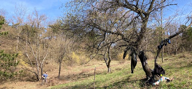 Freiwilliger recht Schnittgut zusammen