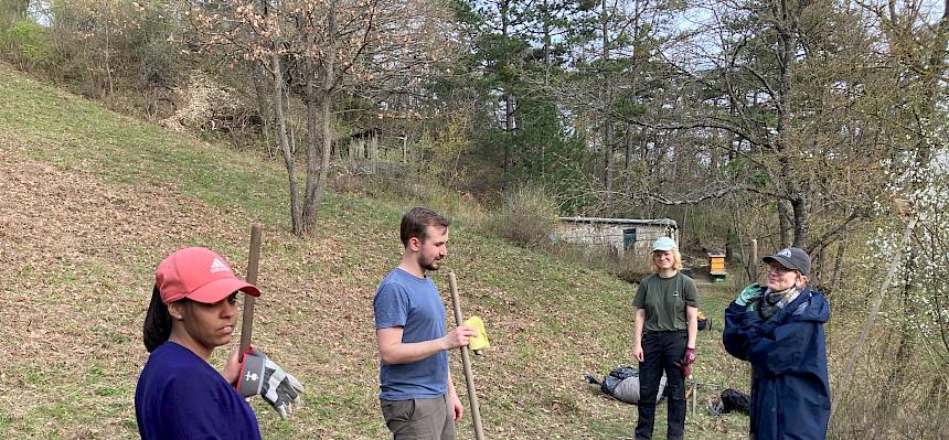 Praktikant:innen mit Rechen und Mistgabeln