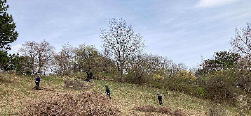 Helfer:innen rechen Schnittgut zusammen