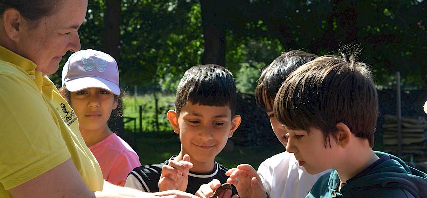 Frau zeigt Kindern eine Raupe