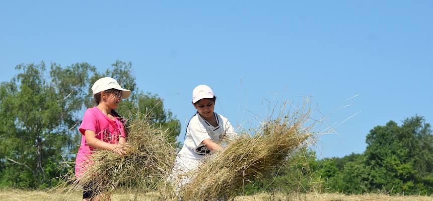 Mädchen sammeln Heu auf