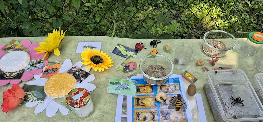 Tisch mit Bildungsmaterialien zur Natur