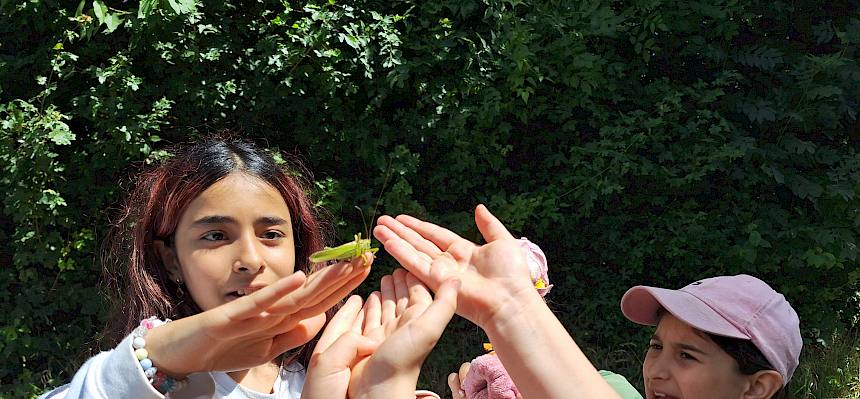 Mädchen hält eine Heuschrecke