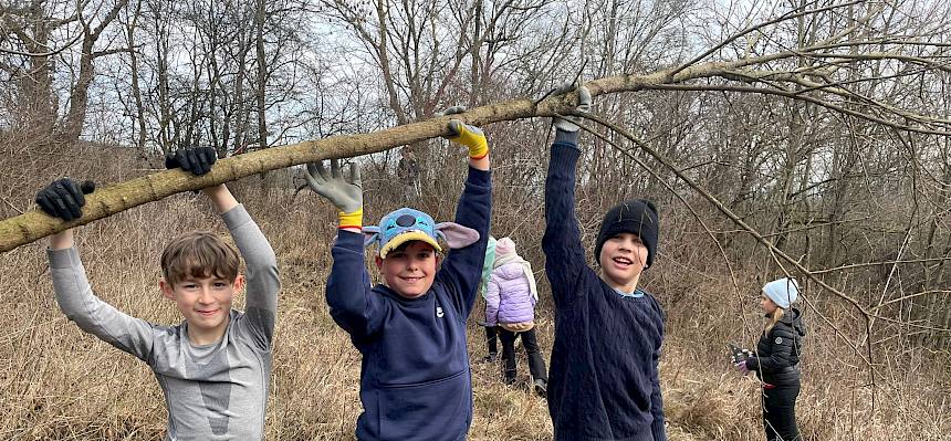 Buben mit geschnittenem Baum