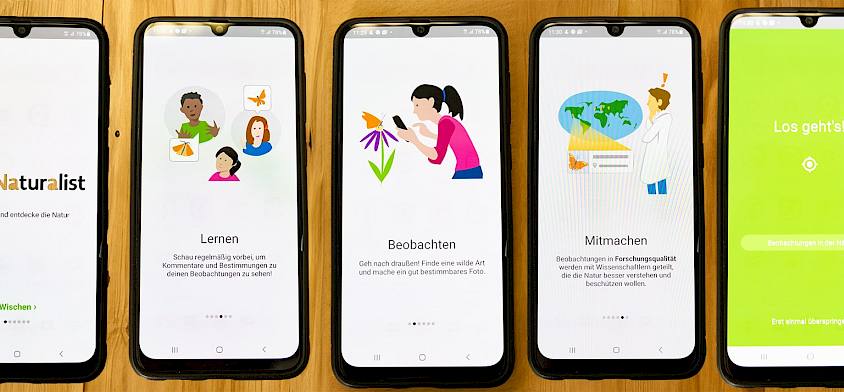 Smartphones mit iNaturalist
