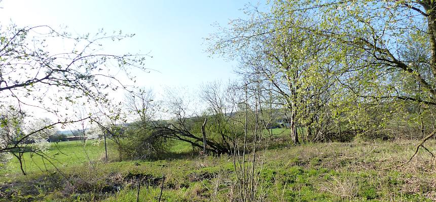 Bereich B vor der Pflege