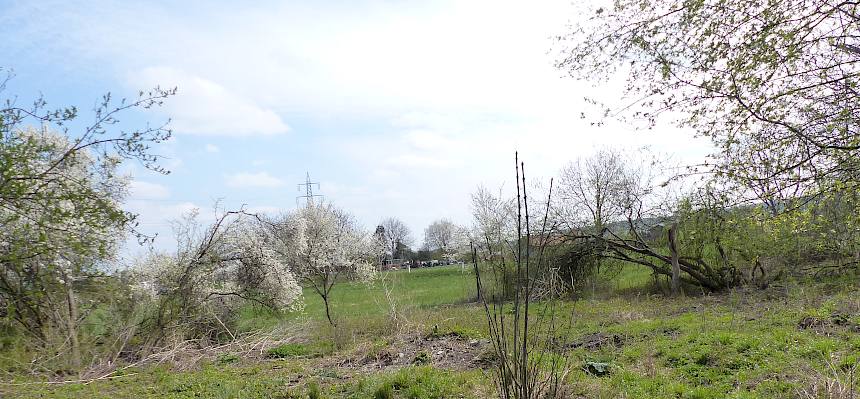 Bereich B nach der Pflege