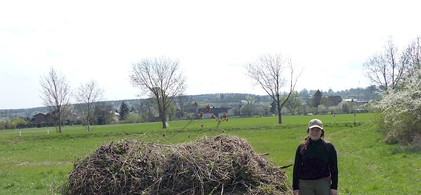 Freiwillige vor Schnittguthaufen