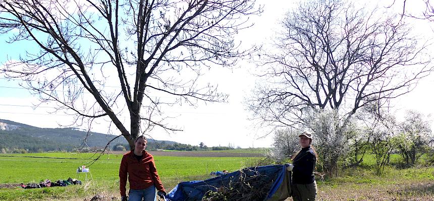 Freiwillige tragen Plane