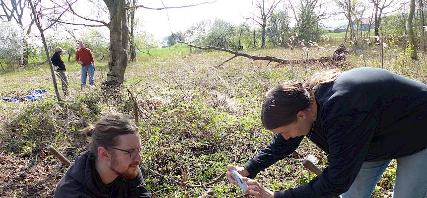 Freiwillige fotografieren Nachtfalter