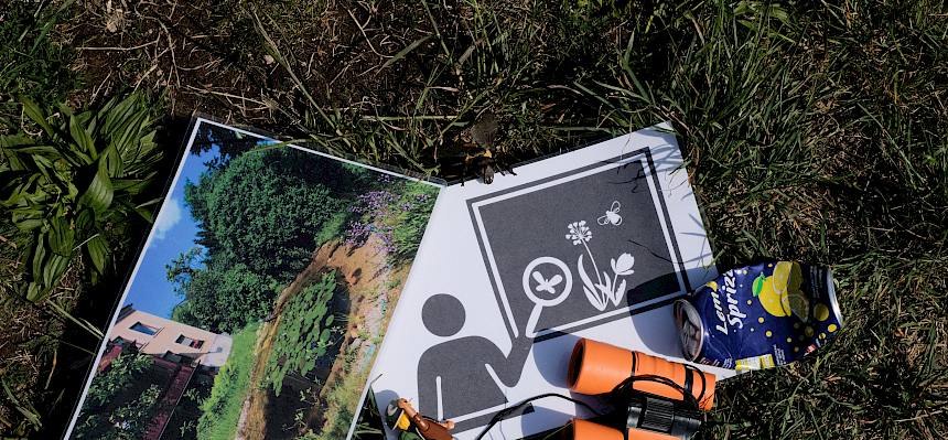 Säulen des Naturparks: Bildung