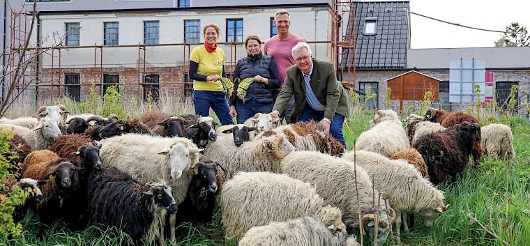 LPV-Obfrau Irene Drozdowski, Schäferin Christa Veits, Bauhofleiter Michael Dunst und Bürgermeister Christoph Kainz machen sich ein Bild von der großartigen Landschaftspflege-Arbeit der Schafe. © Romana Koller Schafbeweidung am Wiener Neustädter Kanal