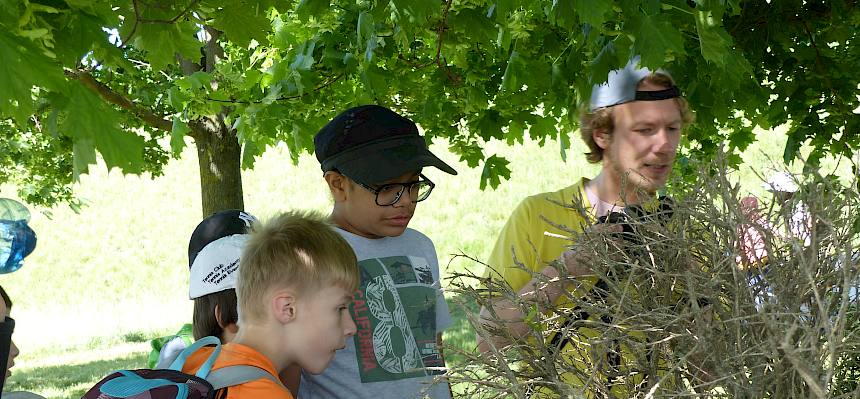 Naturvermittler zeigt Kindern Tiere