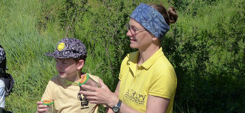 Naturvermittlerin bespricht Becherlupenfunde