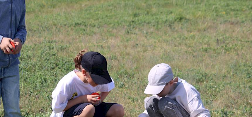 Schüler:innen suchen Insekten und Spinnen
