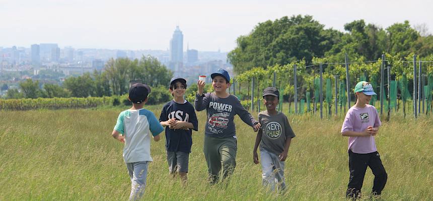 Schüler:innen entdecken Naturbesonderheiten
