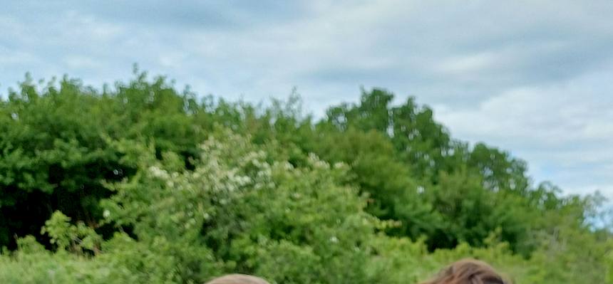 Schüler:innen betrachten Tiere in Becherlupe