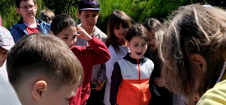 Kinder staunen über Becherlupenfunde
