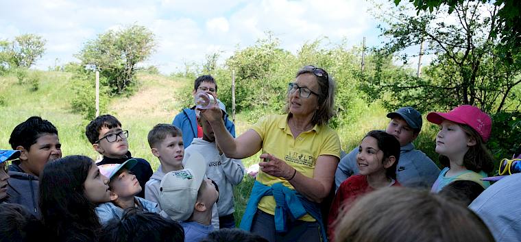 Bei der heutigen Trockenrasenexkursion auf den Alten Schanzen konnten die Schüler:innen mit unseren Naturvermittler:innen zahlreiche Naturbesonderheiten entdecken! © LPV/L. Wollny Naturvermittlerin zeigt Becherlupe her