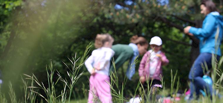Heute wuselte es in den Naturwiesen des Begrischparks nicht nur vor Insekten. © LPV/F. Hohn Kinder bei der Suche mir Becherlupen