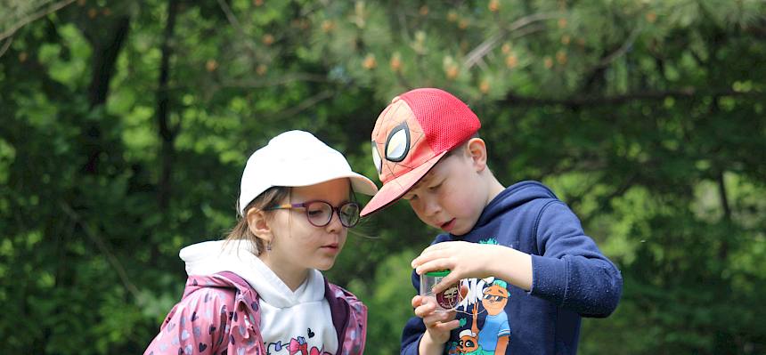 Kinder betrachten ihre Insektenfunde in der Becherlupe