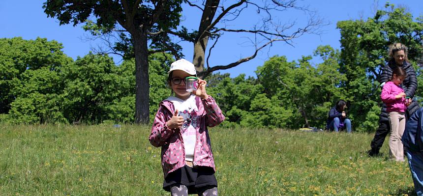 Kind präsentiert ihren Insektenfund