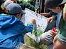 An einer weiteren Station wurde erarbeitet, aus welchen Schichten bzw. Stockwerken eine Wiese besteht und welche Tiere wo zu finden sind. © LPV/E. Seidl Kinder ordnen Tiere den Schichten einer Wiese zu