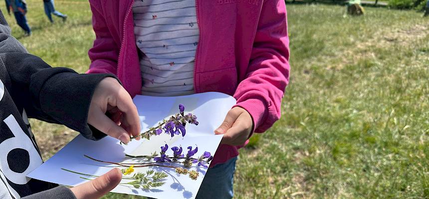 Kinder sammeln Pflanzen für ein Wiesenbild