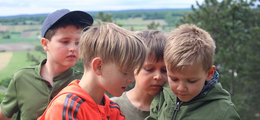 Schüler beobachten Tier in Becherlupe