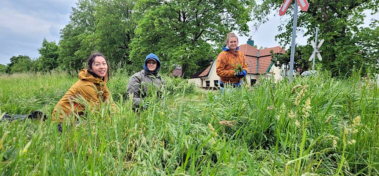 Seit 4. Mai sind unsere Biolog:innen und Praktikant:innen in Perchtoldsdorf unterwegs, um die besonders wertvollen Flächen des Insekten-Highways zu pflegen. © LPV/S. Wieser Biologin und Praktikant:innen bei der Arbeit