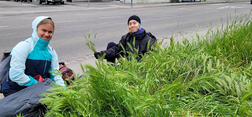 Praktikant:innen entfernen dominante Gräser