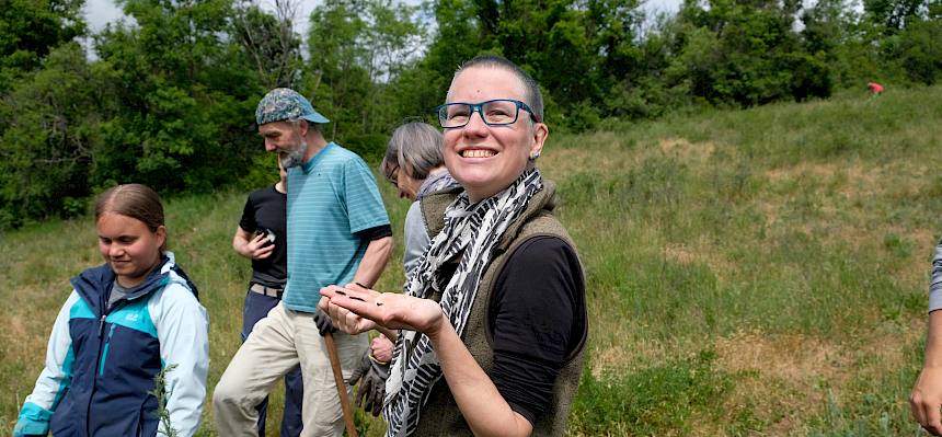 Raupen des Südlichen Kleinen Nachtpfauenauges