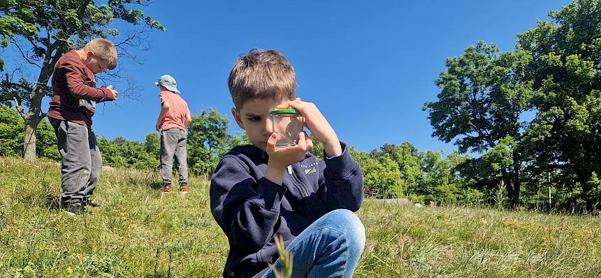 Kind beobachtet Insekt in der Becherlupe