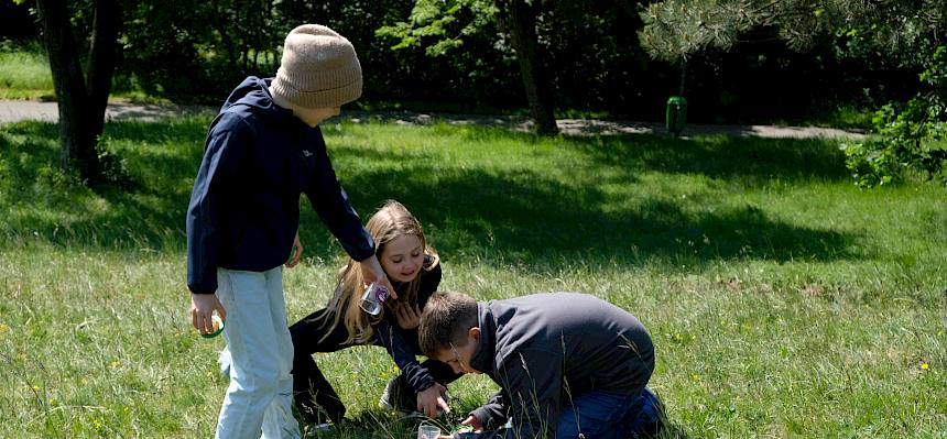 Kinder suchen in der Wiese nach Insekten