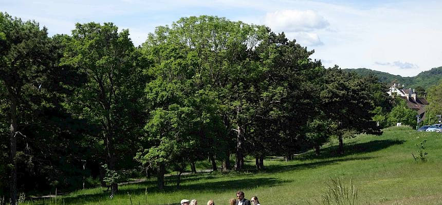 Ehrengäste auf der Naturwiese im Begrischpark