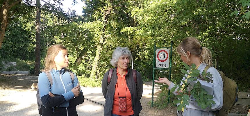 Biologin erklärt Pflanzen